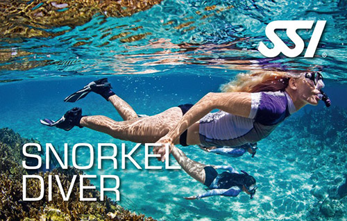 Şnorkel Yüzüşü - Snorkel Diver