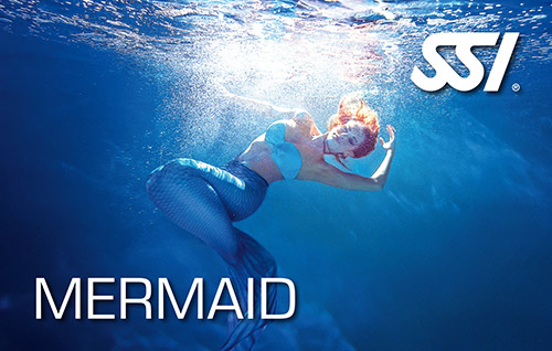 SSI Mermaid - SSI Deniz Kızı Eğitimleri