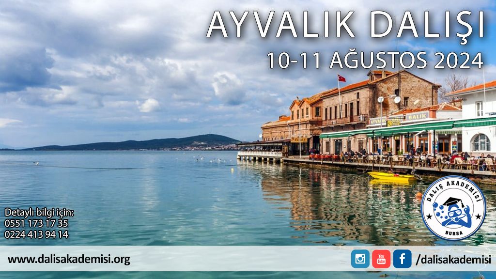 10-11 Ağustos 2024 Ayvalık Dalışı