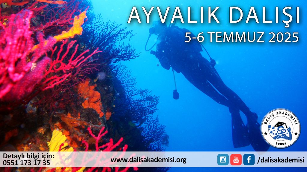 5-6 Temmuz 2025 Ayvalık Dalışı