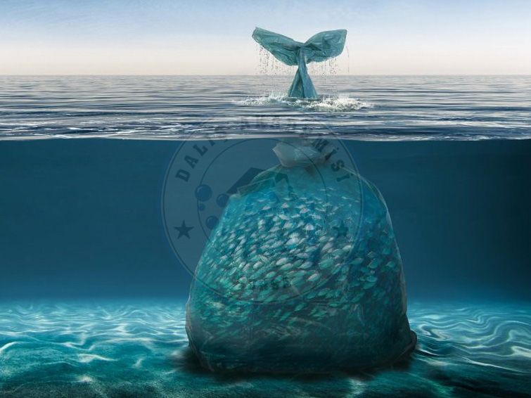 Makale: Denizlerimiz ve Plastikler