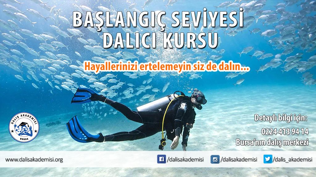 Bursa'da dalış eğitimi