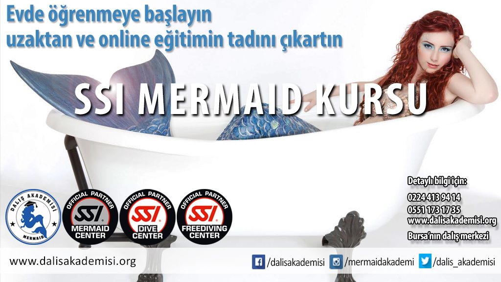 SSI Online Mermaid Kursu