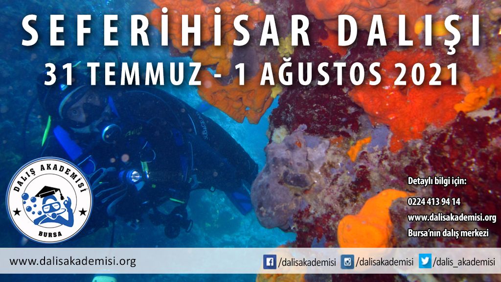 30 Temmuz-1 Ağustos Seferihisar Dalışı
