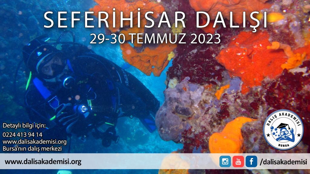 29-30 Temmuz Seferihisar Dalışı