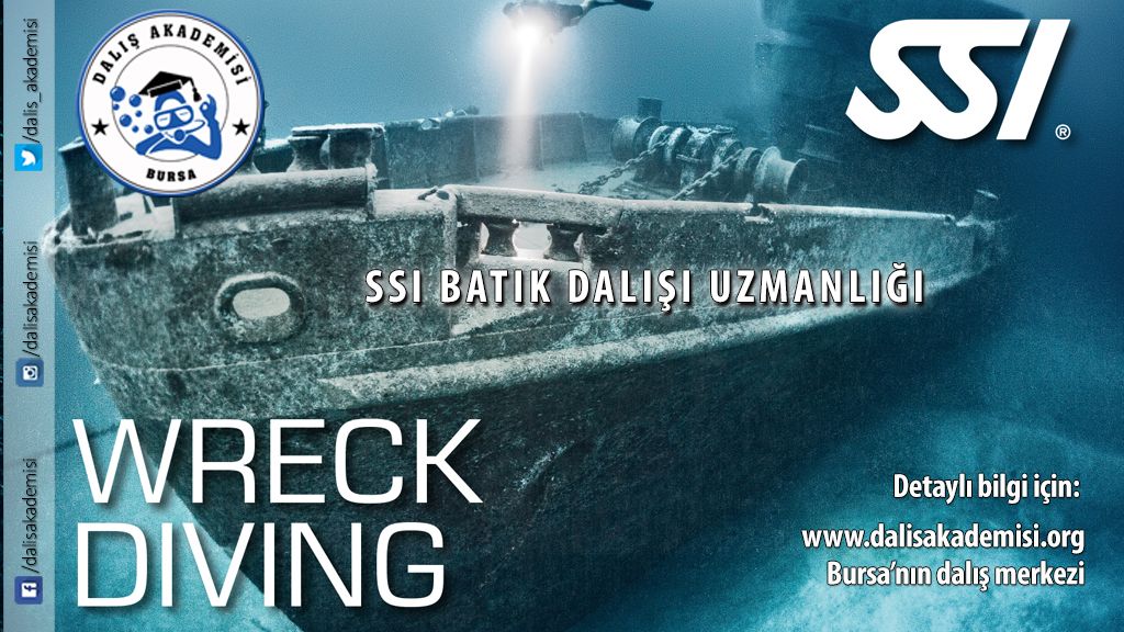 Online SSI Batık Dalışı Uzmanlığı