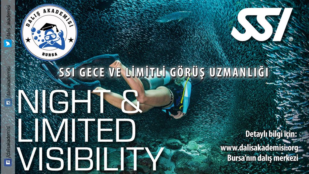 Online SSI Gece ve Limitli Görüş Uzmanlığı