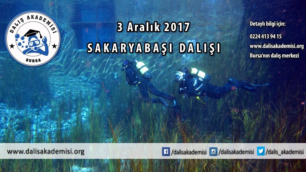 Çifteler Sakaryabaşı Dalışı