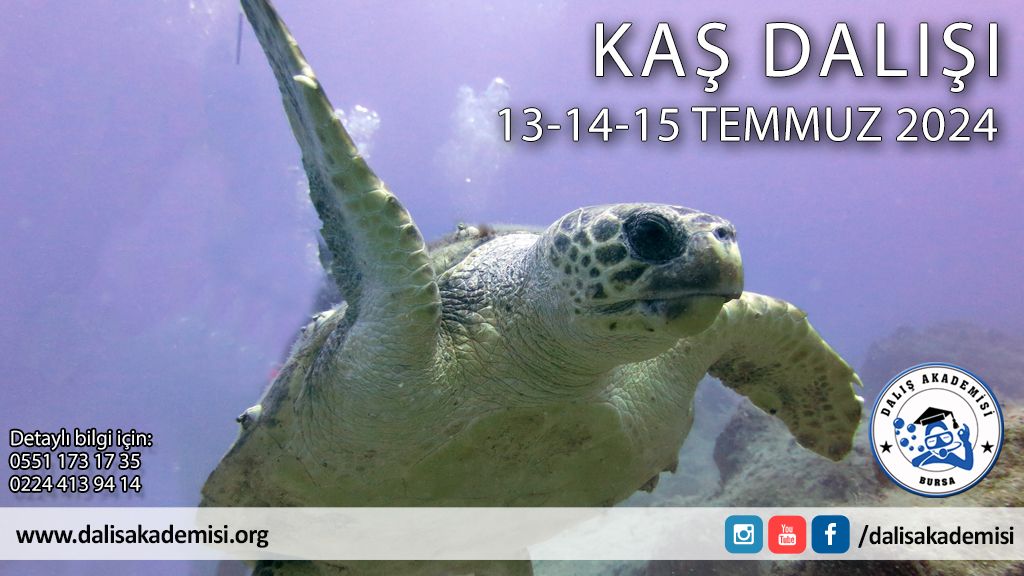 13-14-15 Temmuz Kaş Dalışı