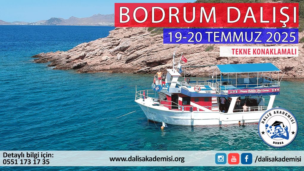 19-20 Temmuz Bodrum Dalışı - Gece Dalışlı