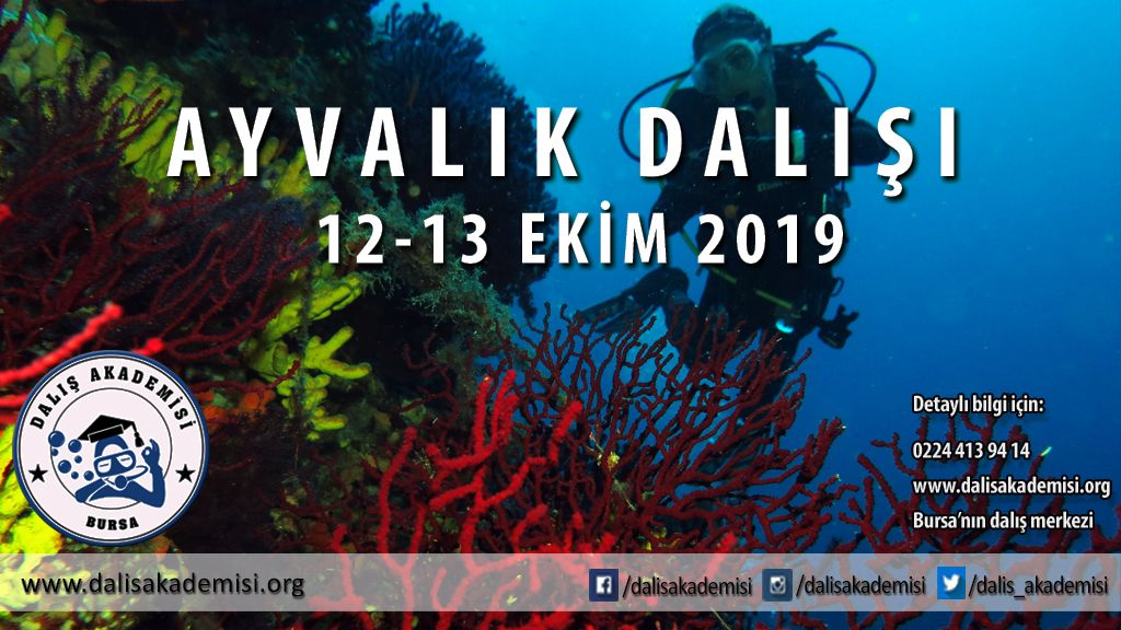 12-13 Ekim Ayvalık Dalışı