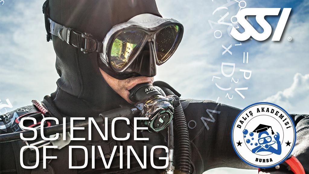 Uzaktan Eğitim ile Science Of Diving - Dalış Bilimi Uzmanlık Kursu