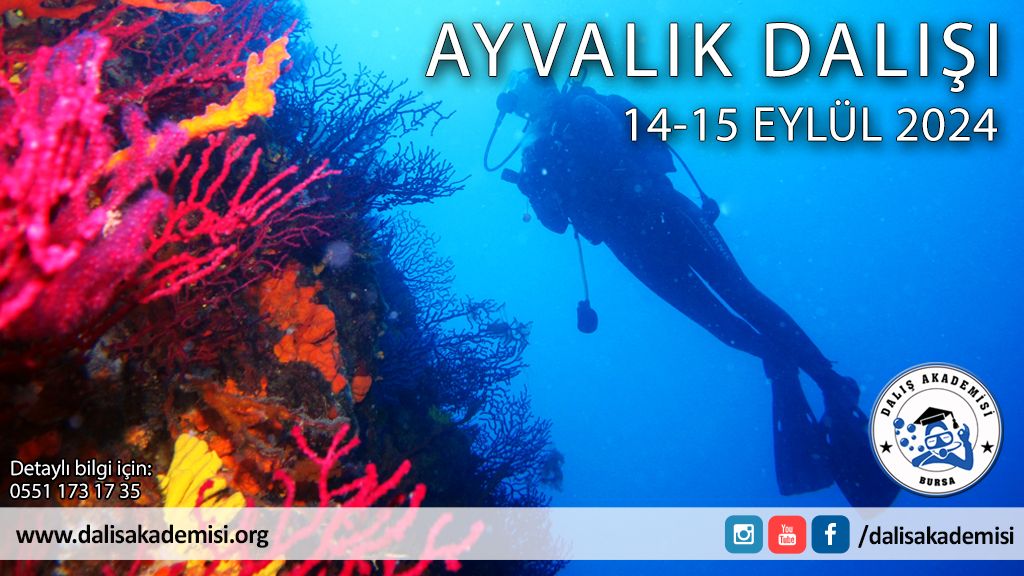 14-15 Eylül Ayvalık Dalışı