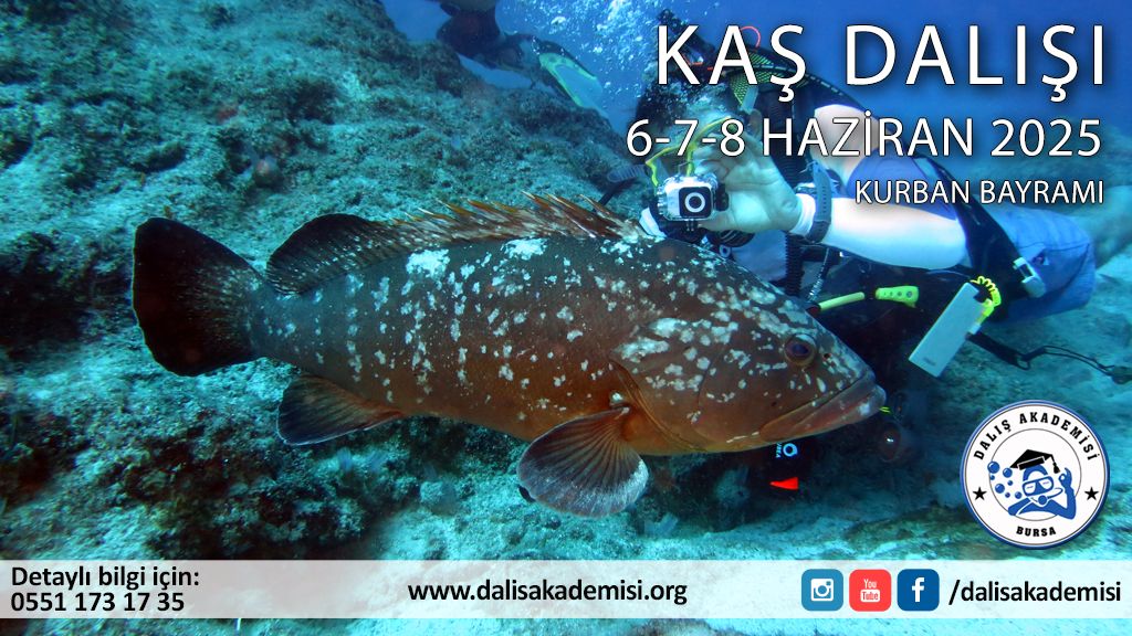 6-7-8 Haziran Kurban Bayramı Kaş Dalışı