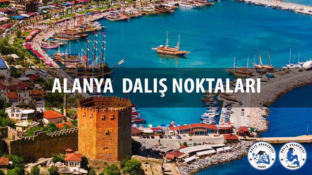 Alanya Dalış Noktaları