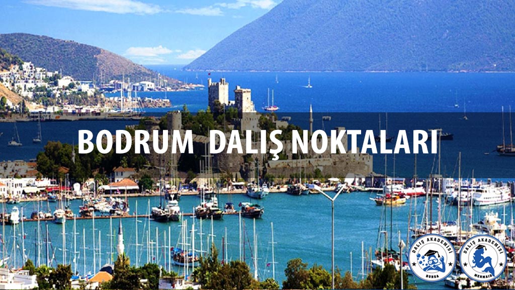 Bodrum Dalış Noktaları