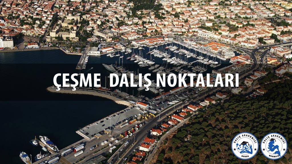 Çeşme Dalış Noktaları