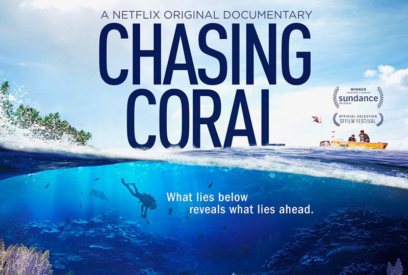 Chasing Coral - Mercan Peşinde