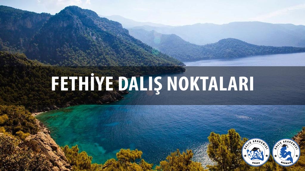 Fethiye Dalış Noktaları