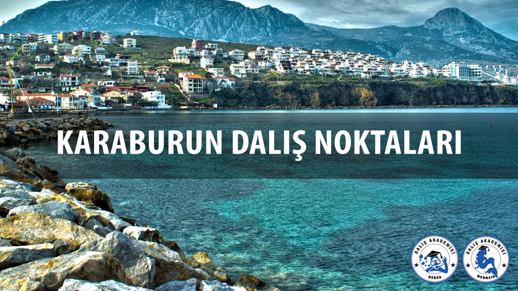 Karaburun Dalış Noktaları