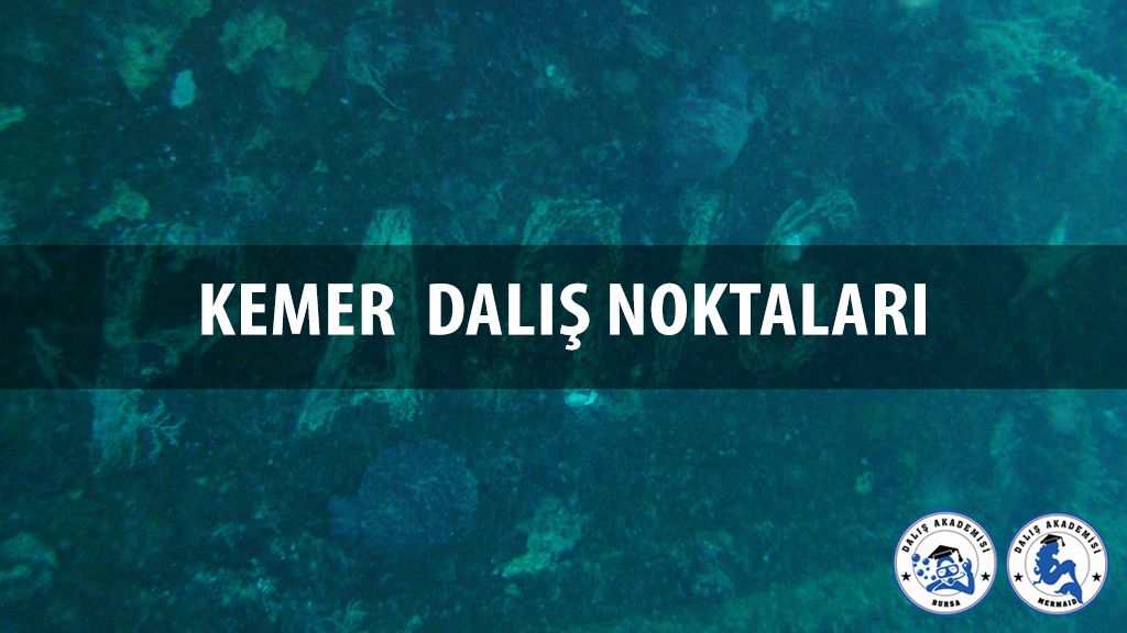 Kemer Dalış Noktaları