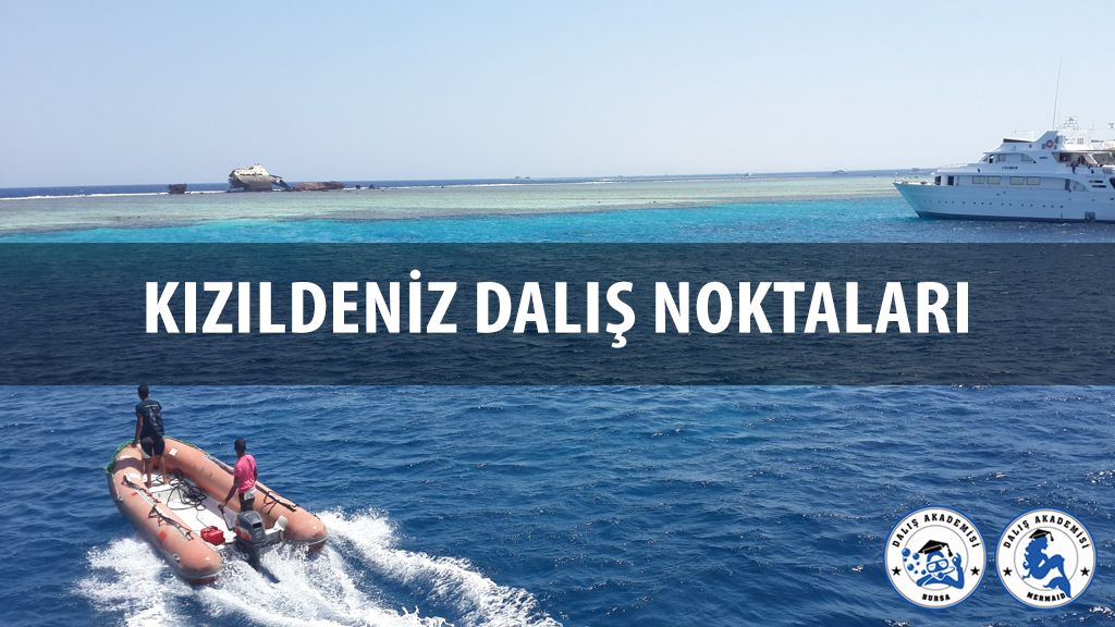 Kızıldeniz Dalış Noktaları