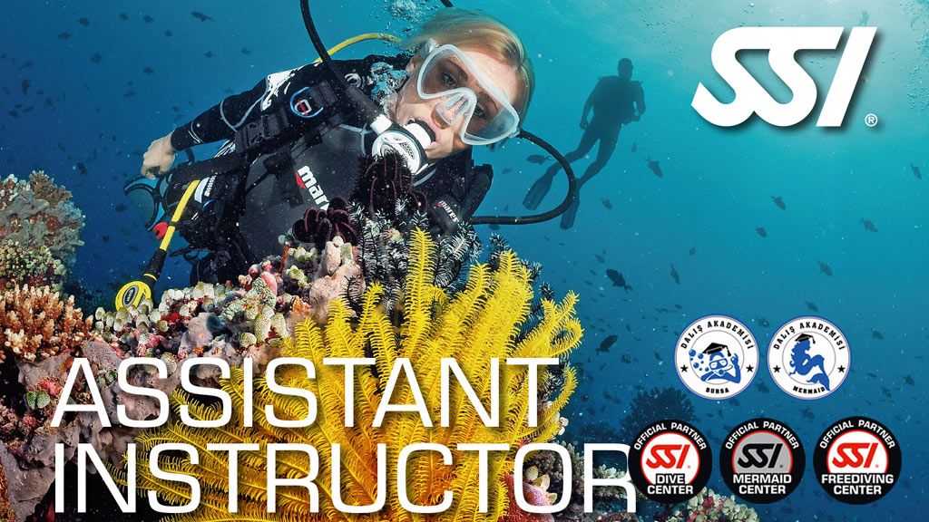 SSI Assistant Instructor