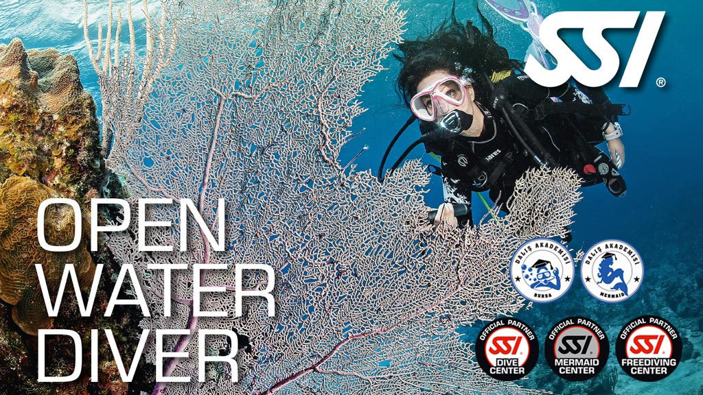 SSI Open Water Diver