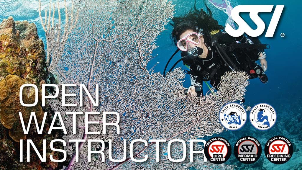 SSI Open Water Instructor