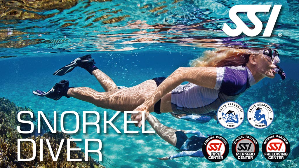 SSI Snorkel Diver