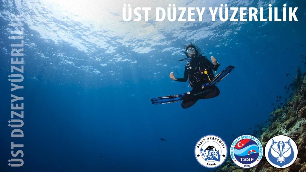 TSSF Üst Düzey Yüzerlilik Uzmanlık Kursu