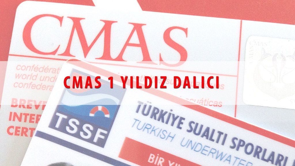 CMAS 1 YILDIZ DALICI