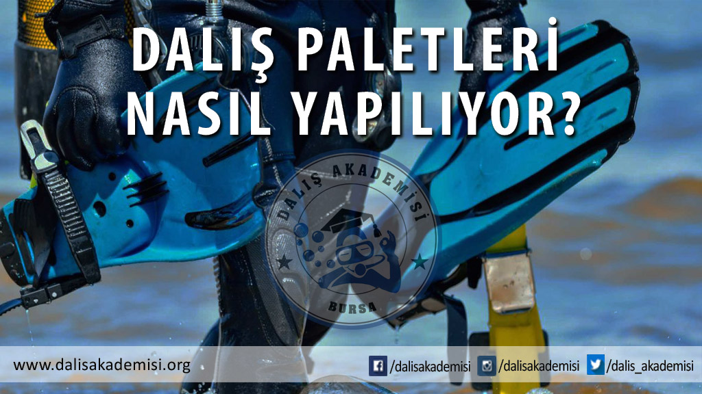 Dalış Paletleri Nasıl Yapılıyor