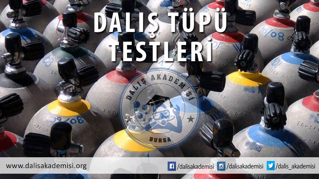 DALIŞ TÜPLERİNİN TESTLERİ