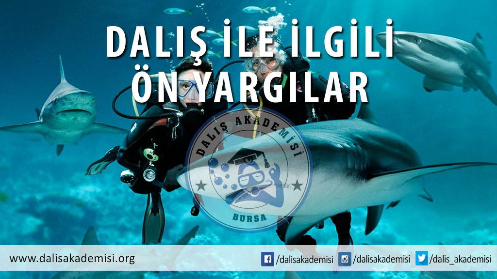 Dalış İle İlgili Ön Yargılar