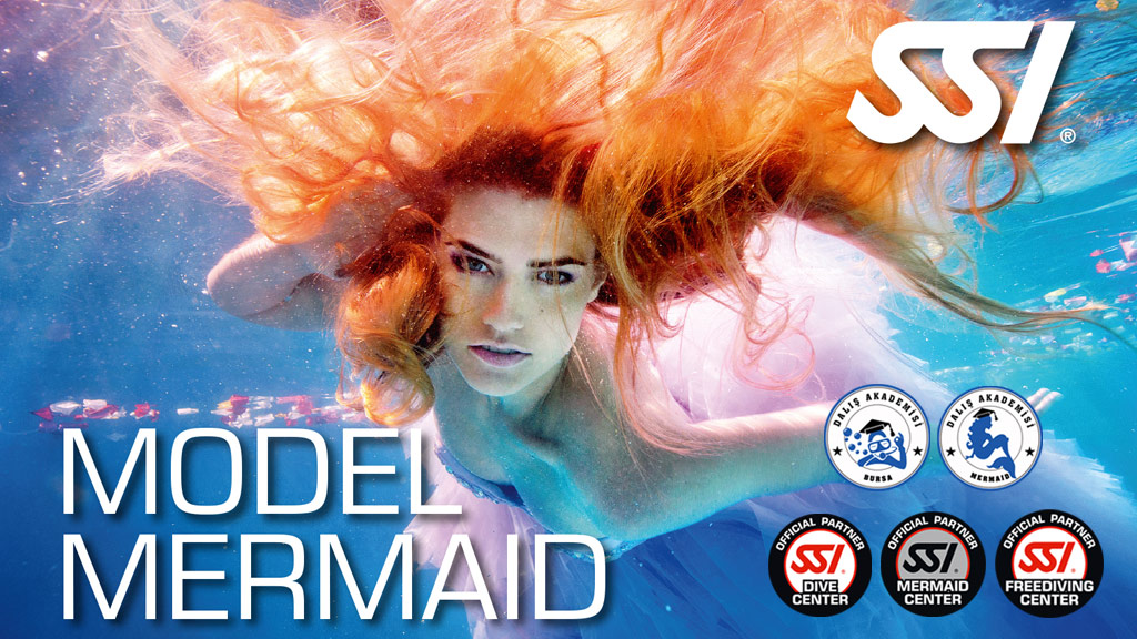 SSI Model Mermaid