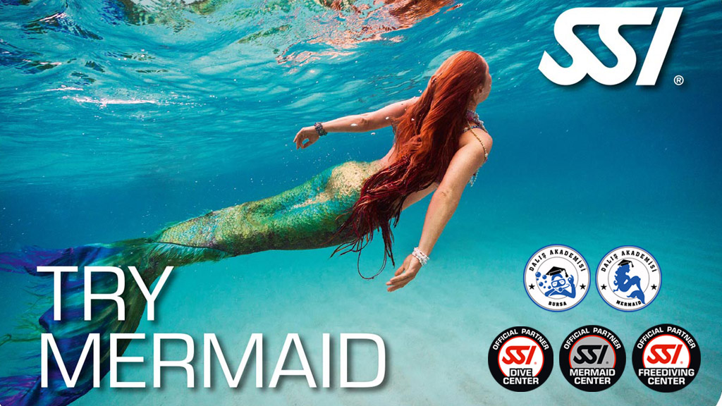 SSI Try Mermaid