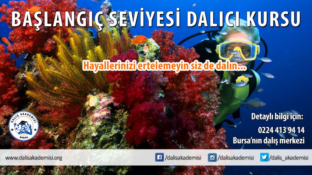 Bursa'da dalış kursu başlıyor
